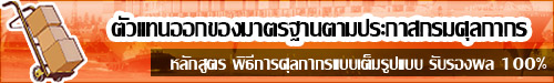 ตัวแทนออกของมาตรฐานตามประกาศกรมศุลกากร