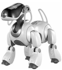 25769_aibo.JPG