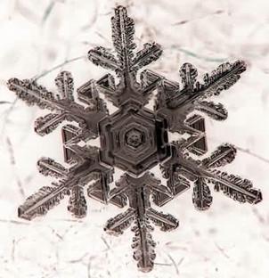 25769_ice crystal1.JPG