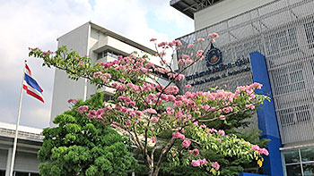TNI