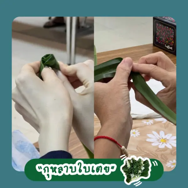 Learning by doing : กุหลาบใบเตย