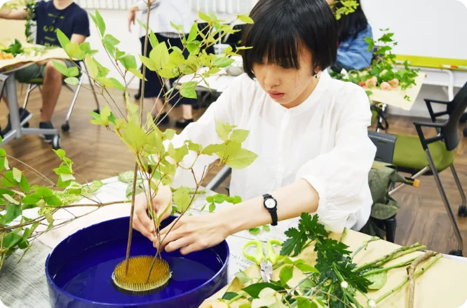 ecc-อิเคบานะ