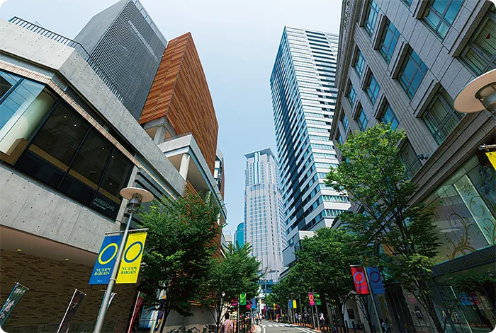 ชายามาจิ